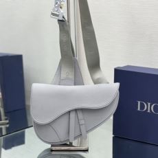 Christian Dior Saddle Bags